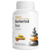 Berberină Duo, 60 capsule, Alevia