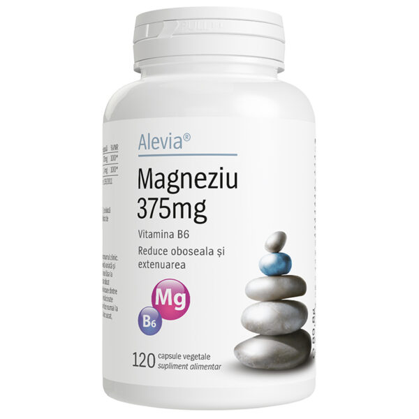 Magneziu-375mg_120cp_800px Magneziu 375mg B6, 120 capsule, Alevia