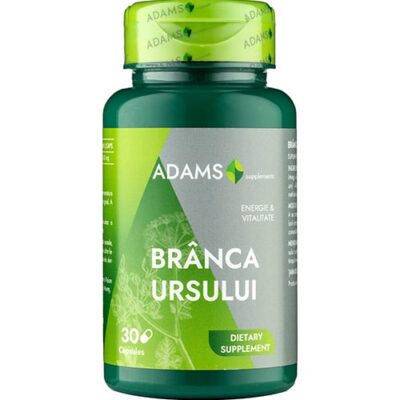 Branca Ursului 400mg