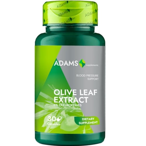 Olive Leaf Extract 600mg Olive Leaf Extract 600mg