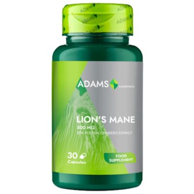 Lion s Mane 500mg 30cps Lion s Mane 500mg 30cps