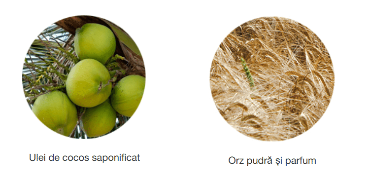 Screenshot 2026 01 21 194336