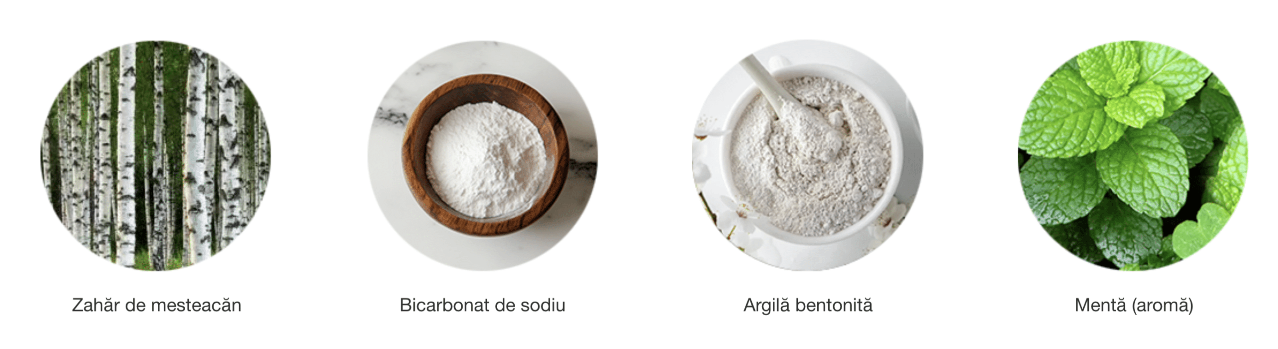 Screenshot 2026 01 21 at 12.34.21 scaled