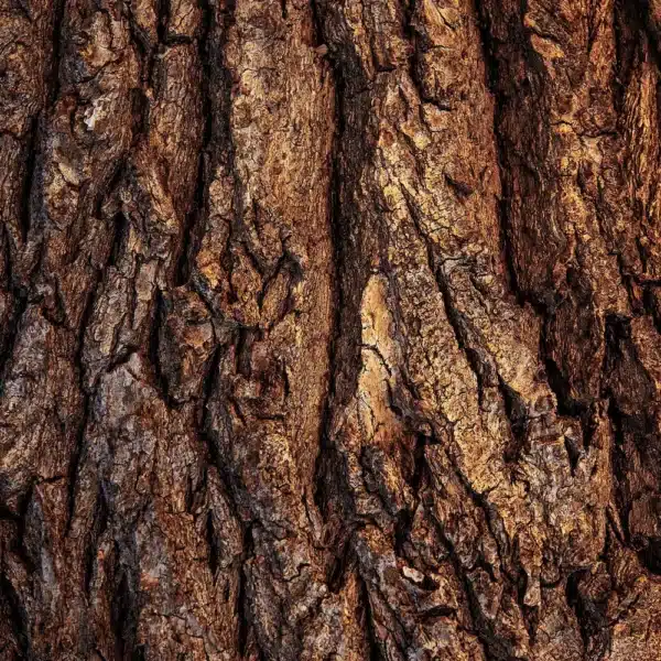 Cremă reparatoare pentru picioare ENDRO, 70ml