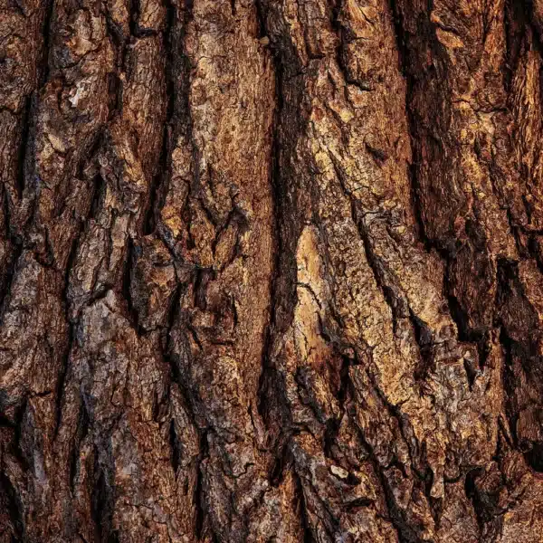 3701761500576-6 Cremă hrănitoare pentru față ENDRO, 50ml