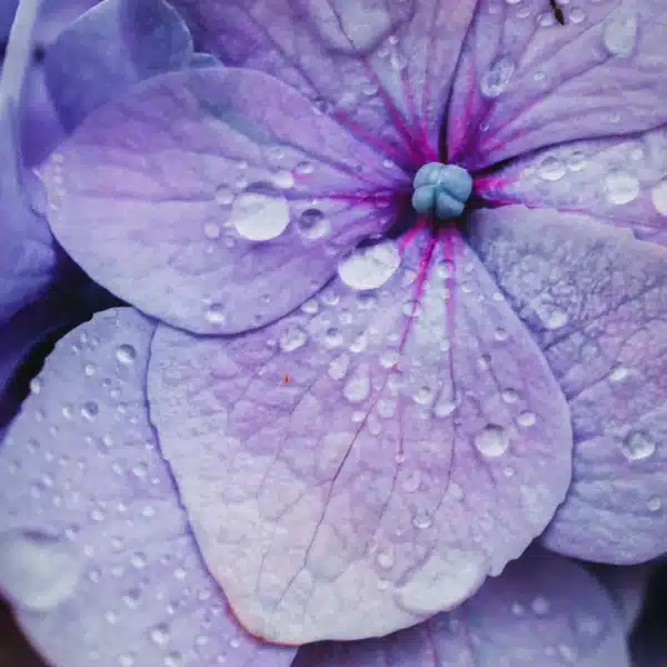 Tratament contur ochi și buze ENDRO, 20ml