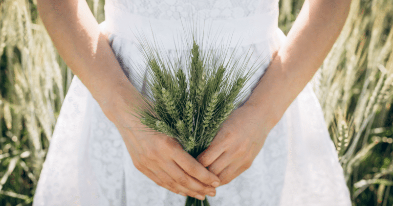 Orzul germinat în cosmeticele bio – secretul ancestral al pielii luminoase 1 Untitled 2026 02 22T224025.255