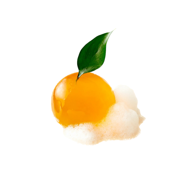 Sapun gelatinos de curatare cu extract de centella asiatica din insula Jeju