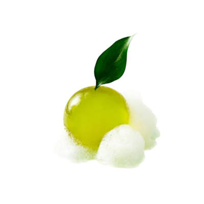 Sapun gelatinos de curatare cu extract de ceai verde din insula Jeju
