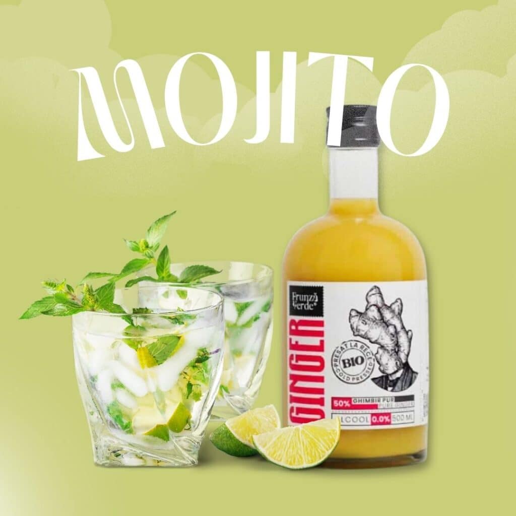 Mojito Ginger BIO Frunza Verde