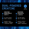 GNC Beyond Raw® Creatine Monophate, Formula inovatoare cu Creatina Monofosfat, cu aroma de zmeura albastra, 282 g
