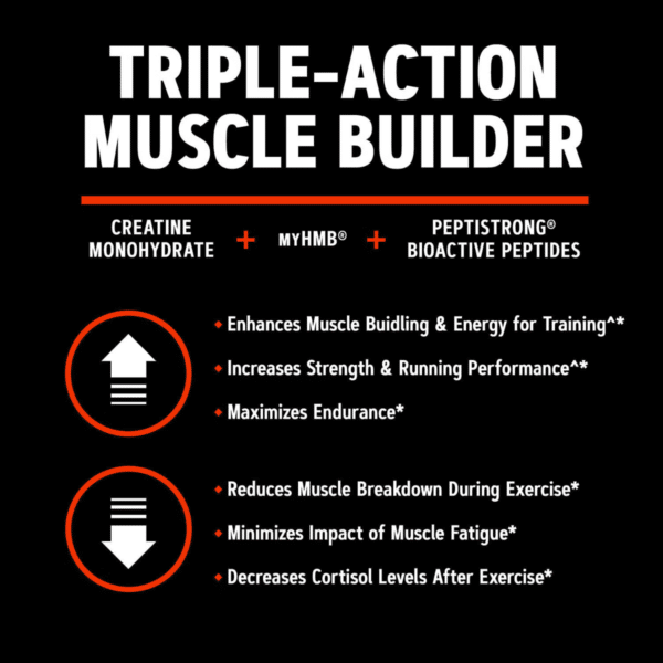 GNC AMP Creabolic™, Formula premium de creatina monohidrata, hmb, peptistrong pentru forta si masa musculara, fara aroma, 332 g