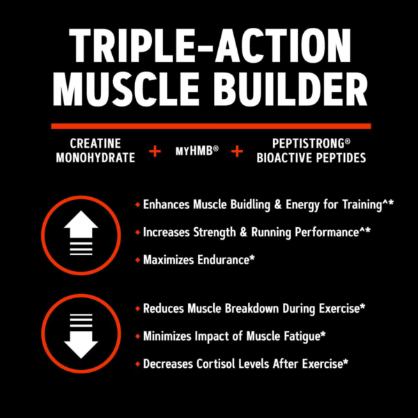 GNC AMP Creabolic™, Formula premium de creatina monohidrata, hmb, peptistrong pentru forta si masa musculara, cu aroma de limonada, 405 g GNC AMP Creabolic™, Formula premium de creatina monohidrata, hmb, peptistrong pentru forta si masa musculara, cu aroma de limonada, 405 g